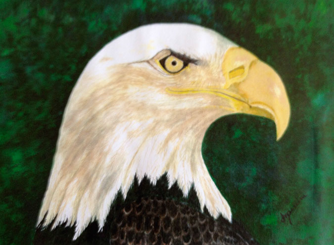 A close up of a bald eagle

Description automatically generated with medium confidence